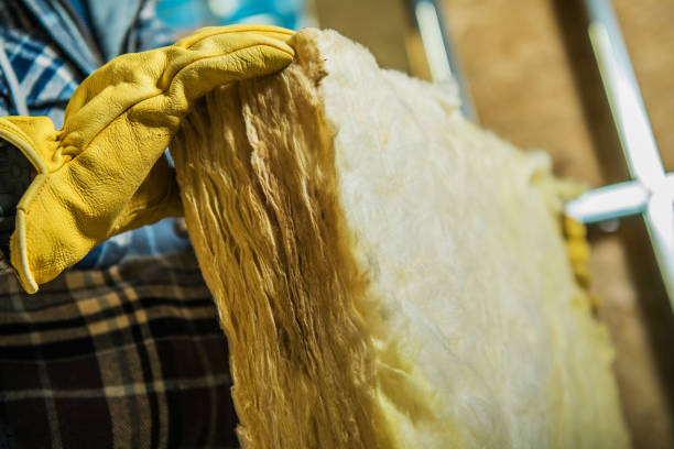 Best Insulation Maintenance and Repair in Robie Creek, ID