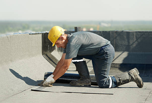 Best Insulation Maintenance and Repair in Robie Creek, ID