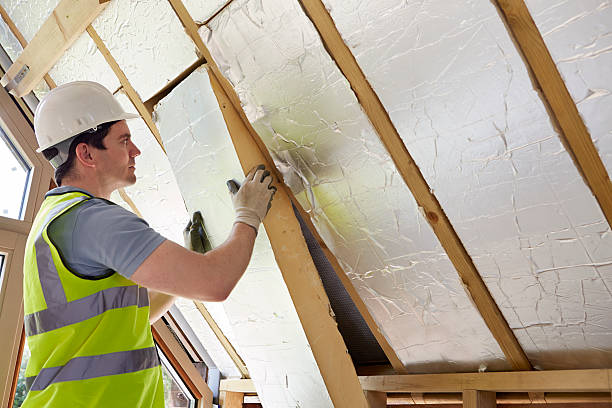 Best Insulation Installation Services in Robie Creek, ID